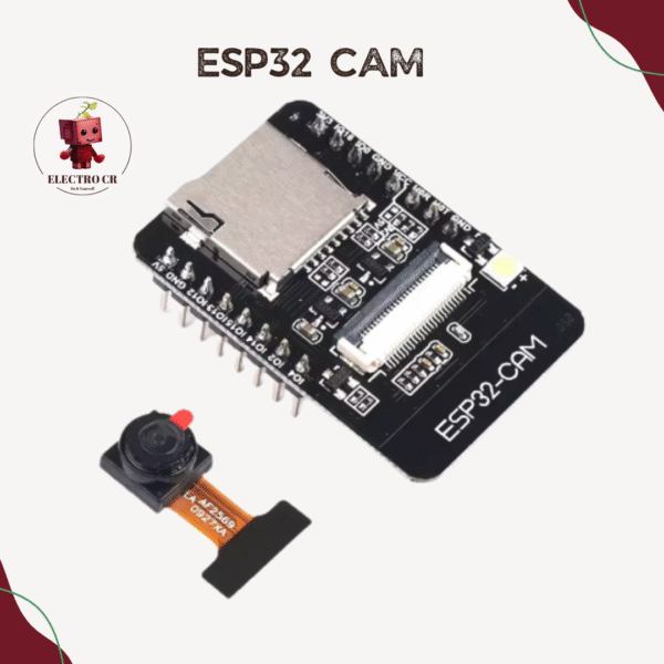 ESP32 CAM