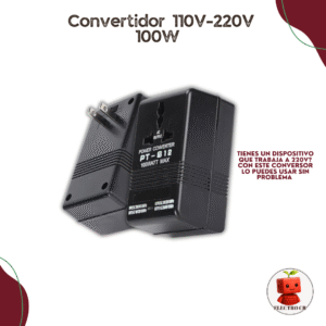 Convertidor 110V-220V 100W